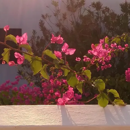 Ibiscus Chora Housemyconos Appartement Mykonos Town